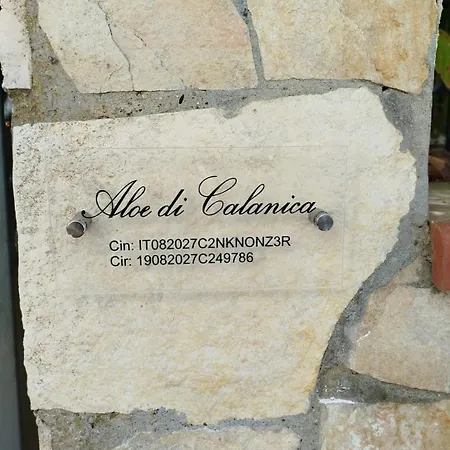 Aloe Di Calanica