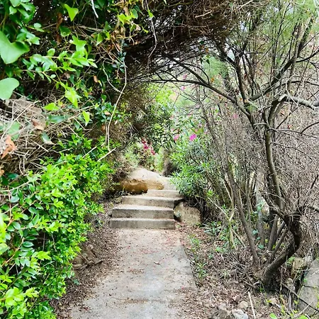 Villa Aloe Di Calanica Cefalu