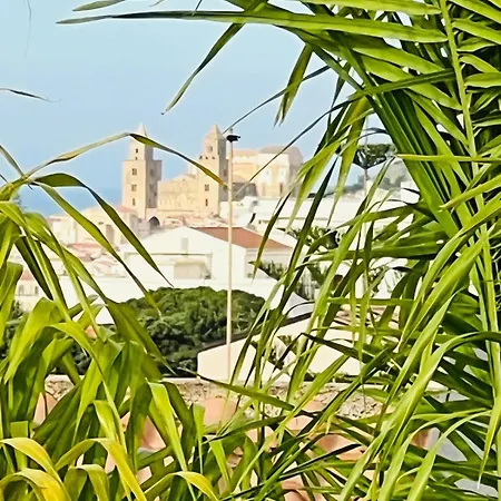 Aloe Di Calanica Cefalu