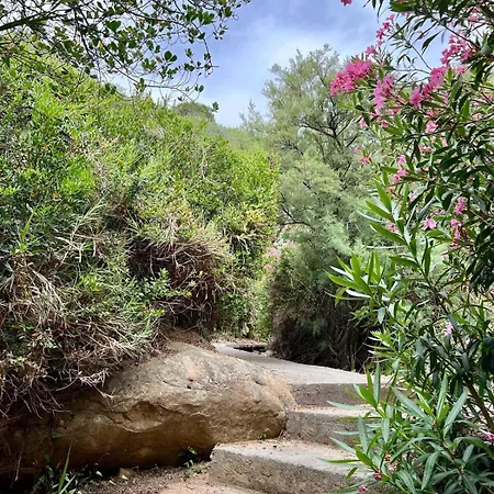 Aloe Di Calanica Villa