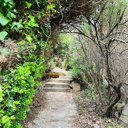 Villa Aloe Di Calanica Cefalú